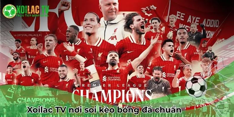 Xoilac TV nơi soi kèo bóng đá chuẩn chỉnh