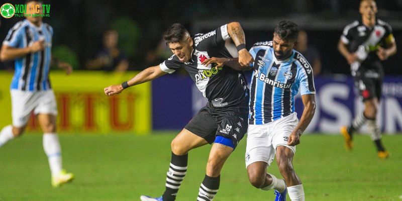 Gremio Vs Vasco Da Gama: Nhận Định Ngày 20/11 8 Gremio vs Vasco da Gama: Dự đoán tỷ số kịch tính Pavon